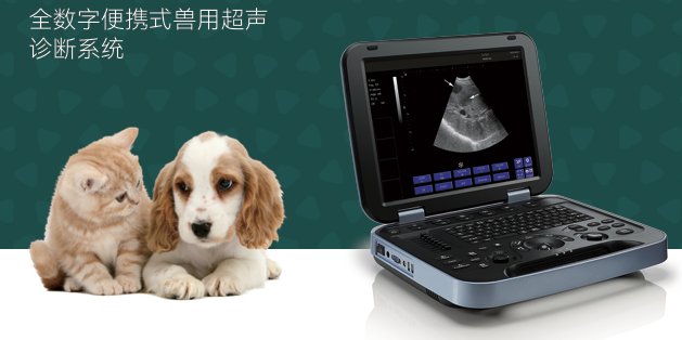便携式兽用超声诊断系统