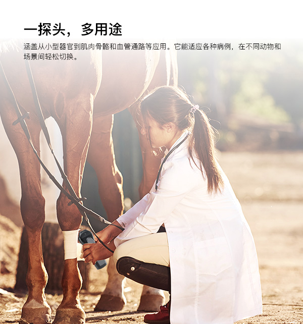 全场景应用覆盖