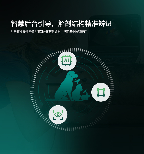 AI赋能临床诊疗新体验