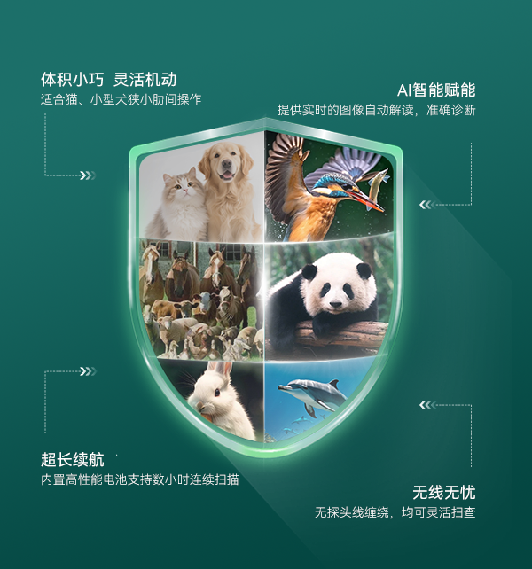 AI驱动诊断——让每一次扫查都更精准