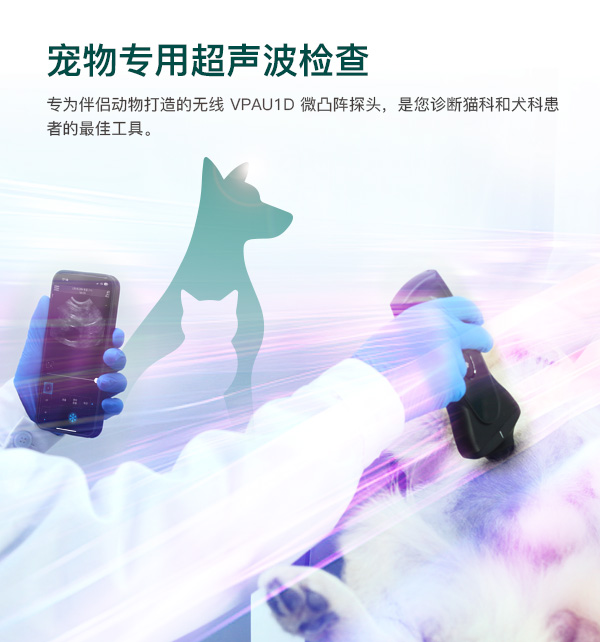 专为犬猫设计