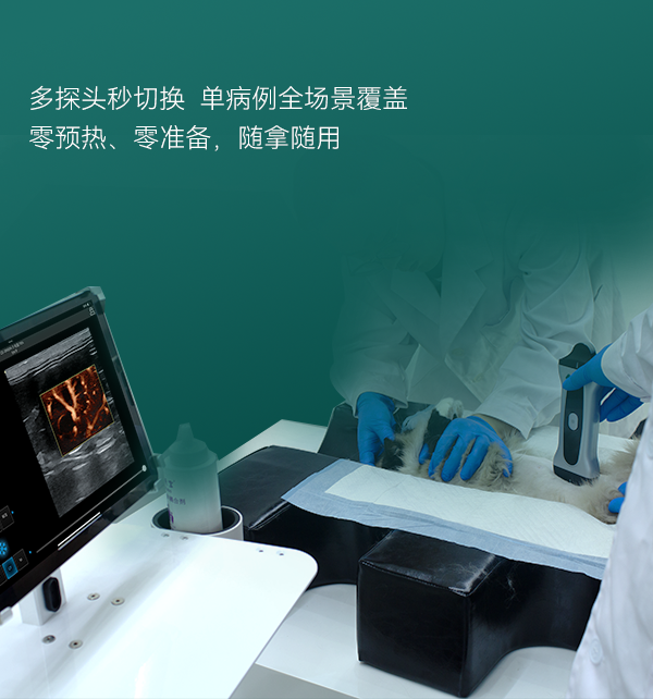 AI驱动诊断——让每一次扫查都更精准