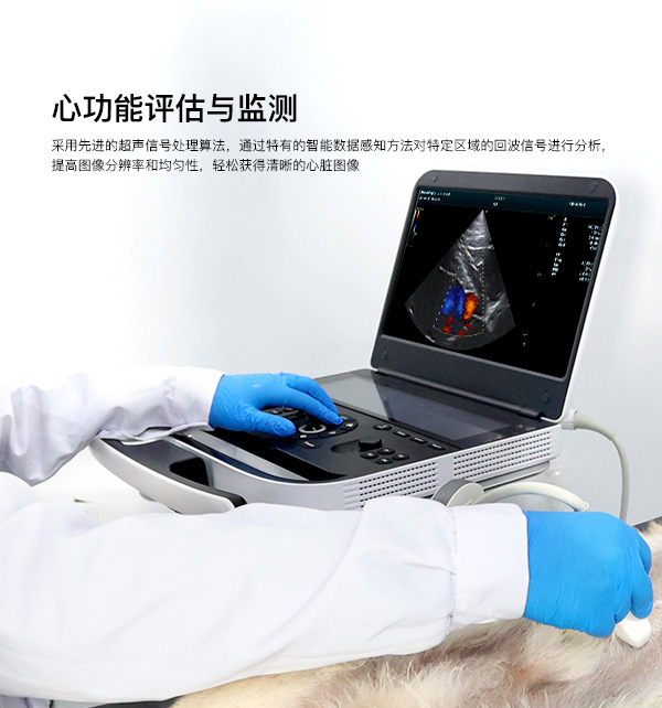AI赋能临床诊疗新体验