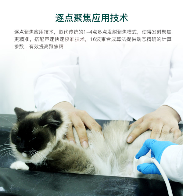 智能成像，操作简便
