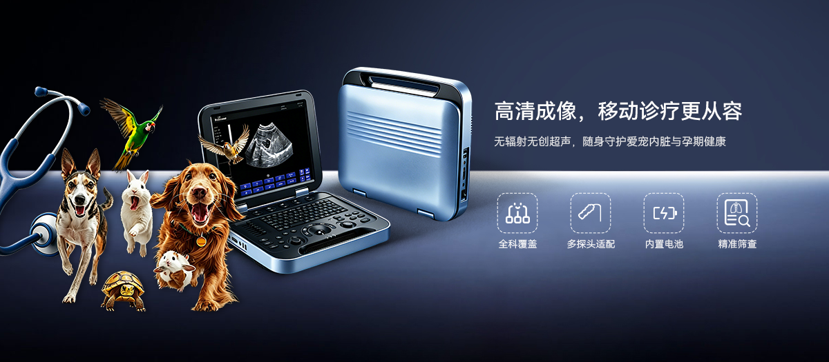 全科覆盖，一机多用