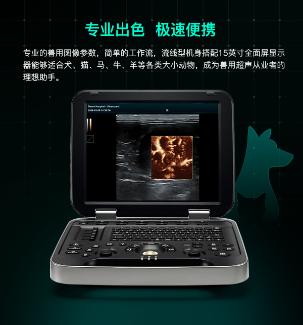 一机多用，覆盖全物种诊疗