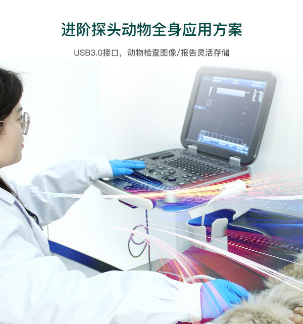 一机多用，覆盖全物种诊疗