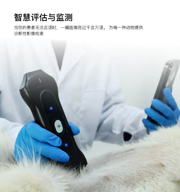 探头配置创新