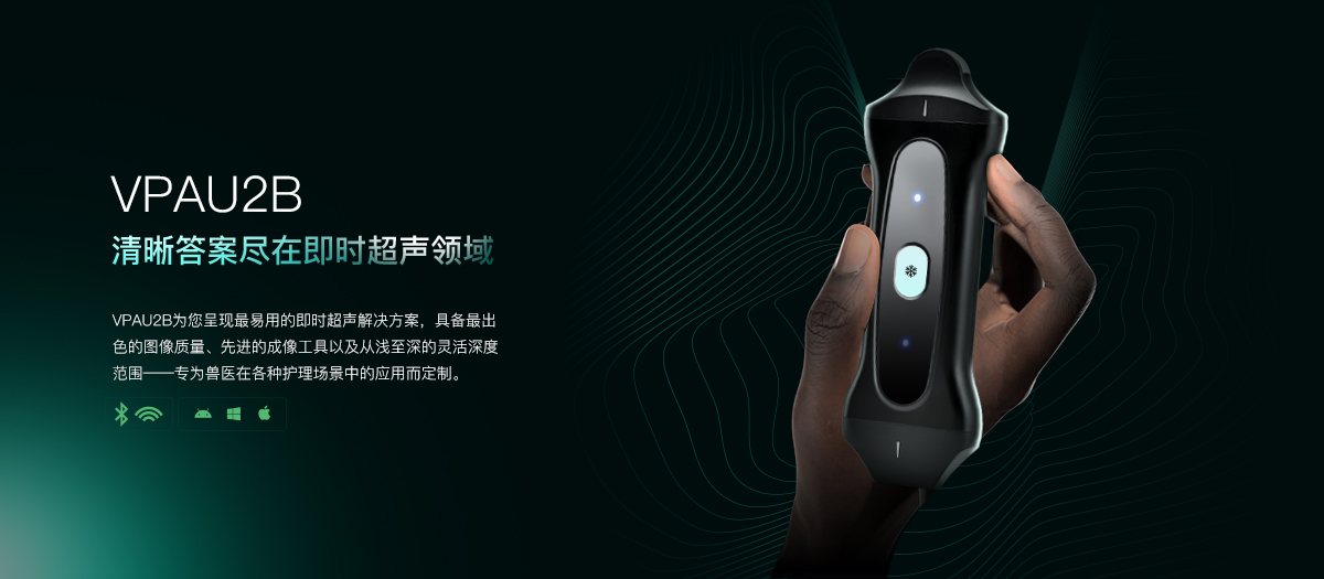 无线掌上，极致灵动