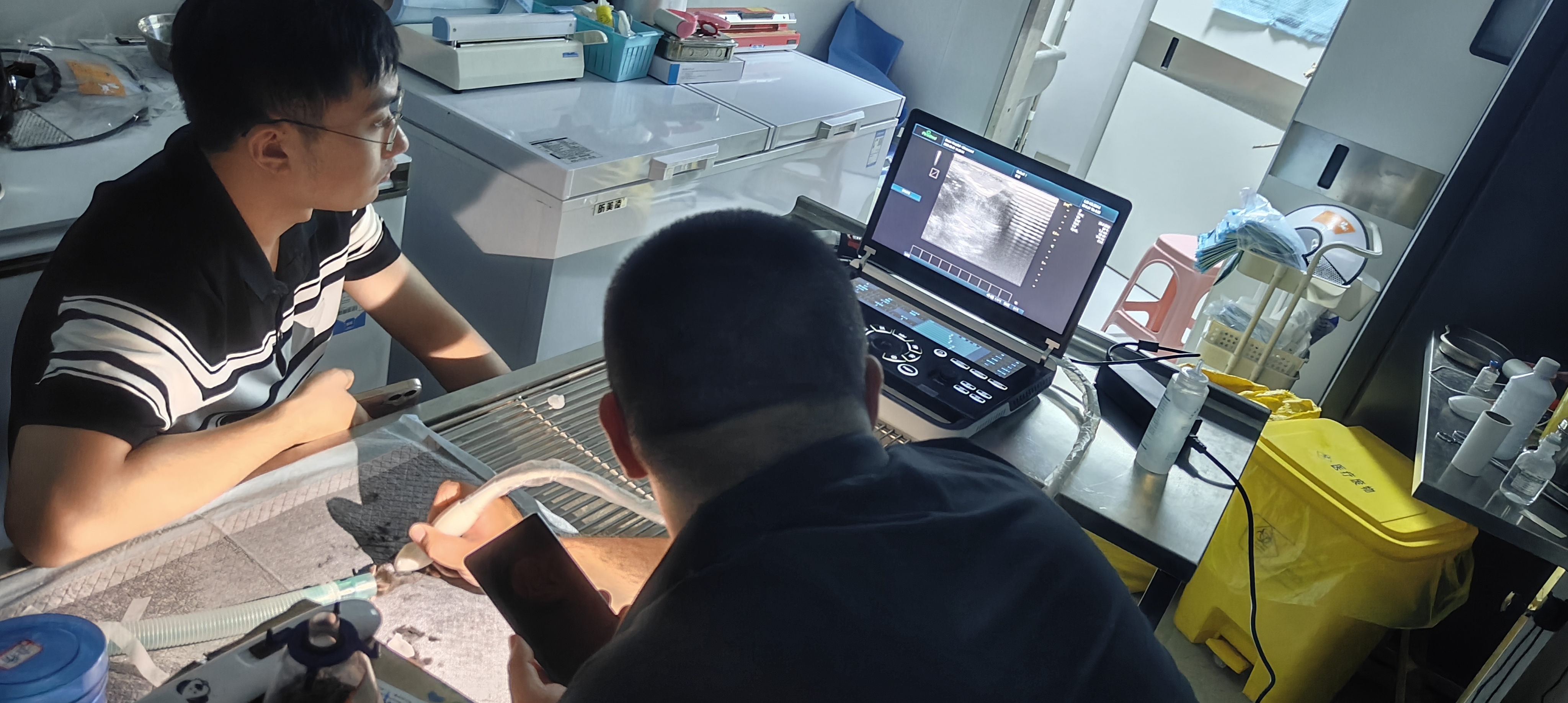 揭秘30克小鼠体内的药物密码：普迈思Revo 9 Vet以高频显微成像，赋能前沿药物科研